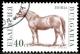 Colnect-1429-499-Horse-Equus-ferus-caballus.jpg