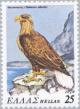 Colnect-174-347-White-tailed-Eagle-Haliaetus-albicilla.jpg