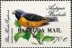 Colnect-2098-067-Antillean-Euphonia-Euphonia-musica.jpg