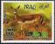 Colnect-2220-526-Persian-Gazelle-Gazella-subgutturosa.jpg