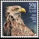 Colnect-5745-461-White-tailed-Eagle-Haliaeetus-albicilla.jpg