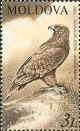 Colnect-800-289-Tawny-Eagle-Aquila-rapax.jpg