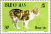 Colnect-124-719-Manx-Cat-Felis-silvestris-catus.jpg