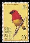 Colnect-1379-307-Red-headed-Fody-Foudia-eminentissima.jpg