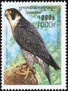 Colnect-1527-021-Peregrine-Falcon-Falco-peregrinus.jpg