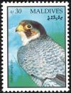 Colnect-1631-875-Peregrine-Falcon-Falco-peregrinus.jpg