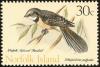 Colnect-2120-895-Collared-Gray-Fantail-Rhipidura-fulginosa.jpg