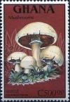 Colnect-2357-848-Field-Mushroom.jpg