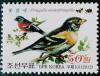 Colnect-2942-854-Brambling-Fringilla-montifringilla.jpg