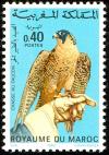 Colnect-3158-150-Peregrine-Falcon-Falco-peregrinus.jpg