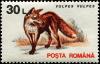 Colnect-4860-207-Red-Fox-Vulpes-vulpes.jpg