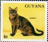 Colnect-4910-214-Burmese-Felis-silvestris-catus.jpg