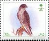 Colnect-5313-606-Peregrine-Falcon-Falco-peregrinus.jpg