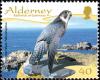 Colnect-5447-518-Peregrine-Falcon-Falco-peregrinus.jpg