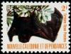 Colnect-864-215-New-Caledonia-Flying-Fox-Pteropus-vetulus.jpg