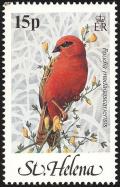 Colnect-1661-817-Red-Fody-Foudia-madagascariensis.jpg