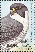 Colnect-1744-759-Peregrine-Falcon-Falco-peregrinus.jpg