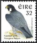 Colnect-1805-741-Peregrine-Falcon-Falco-peregrinus.jpg