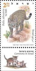 Colnect-19581-726-Wildcat-Felis-sylvestris-lybica.jpg