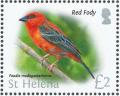 Colnect-4524-393-Red-Fody-Foudia-madagascariensis.jpg