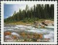 Colnect-6154-594-Flathead-River.jpg