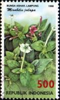 Colnect-940-834-Flora-and-Fauna--Mirabilis-jalapa.jpg