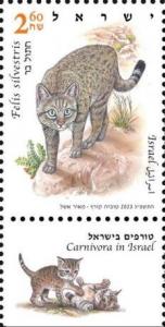 Colnect-19581-726-Wildcat-Felis-sylvestris-lybica.jpg