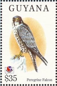 Colnect-1664-216-Peregrine-Falcon-Falco-peregrinus.jpg