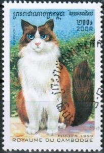 Colnect-1543-174-Ragdoll-Felis-silvestris-catus.jpg