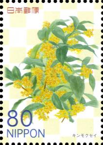 Colnect-5169-420-Osmanthus-fragrans-var-aurantiacus.jpg