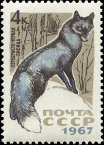 Colnect-4495-085-Silver-Fox-Vulpes-vulpes-var.jpg