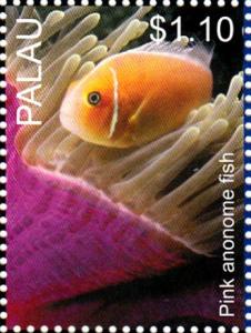 Colnect-4910-089-Pink-anemone-fish-Amphiprion-perideraion.jpg