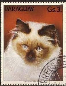 Colnect-1118-565-Burmese-Felis-silvestris-catus.jpg