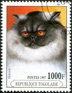 Colnect-4010-500-Persian-Felis-silvestris-catus.jpg