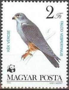 Colnect-587-361-Red-footed-Falcon-Falco-vespertinus.jpg