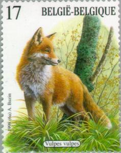 Colnect-187-326-Red-Fox-Vulpes-vulpes.jpg