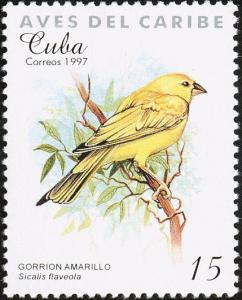 Colnect-2133-932-Saffron-Finch-Sicalis-flaveola.jpg