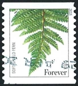 Colnect-2729-801-Soft-shield-fern-Polystichum-setiferum.jpg