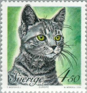 Colnect-164-807-Shorthair-Felis-silvestris-catus.jpg