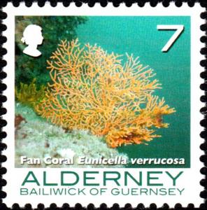 Colnect-5425-789-Broad-Sea-Fan-Eunicella-verrucosa.jpg