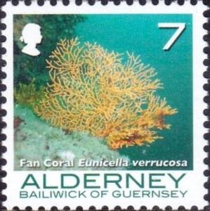 Colnect-4428-117-Broad-Sea-Fan-Eunicella-verrucosa.jpg