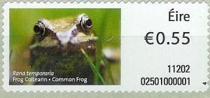 Colnect-1052-343-Common-Frog-Rana-temporaria.jpg