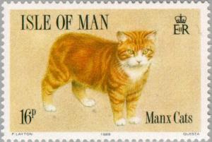 Colnect-124-717-Manx-Cat-Felis-silvestris-catus.jpg