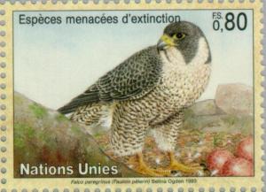 Colnect-138-477-Peregrine-Falcon-Falco-peregrinus.jpg