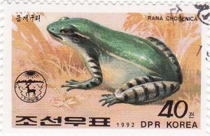 Colnect-1452-497-Seoul-Frog-Rana-chosenica.jpg