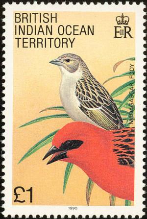 Colnect-1553-527-Red-Fody-Foudia-madagascariensis.jpg