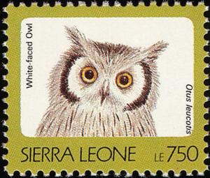 Colnect-1618-003-Northern-White-faced-Owl-Ptilopsis-leucotis.jpg