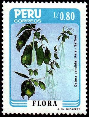 Colnect-1646-218-Peruvian-Flora---Datura-candida.jpg