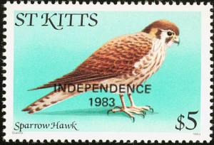 Colnect-1659-357-American-Kestrel-Falco-sparverius---overprinted.jpg