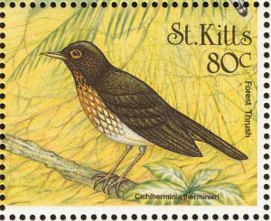 Colnect-1659-374-Forest-Thrush.jpg